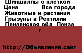 Шиншиллы с клеткой › Цена ­ 8 000 - Все города Животные и растения » Грызуны и Рептилии   . Пензенская обл.,Пенза г.